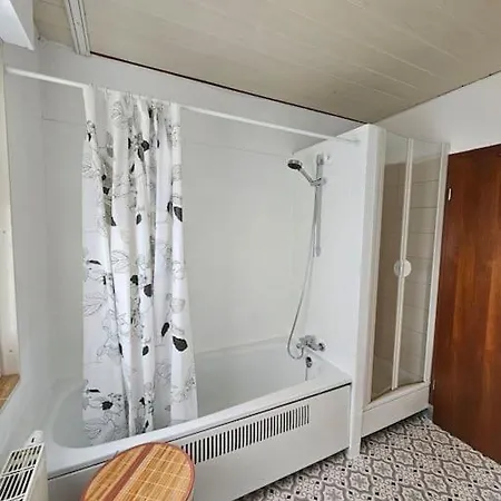 아파트 Grosse Am Waldrand 쇠나우